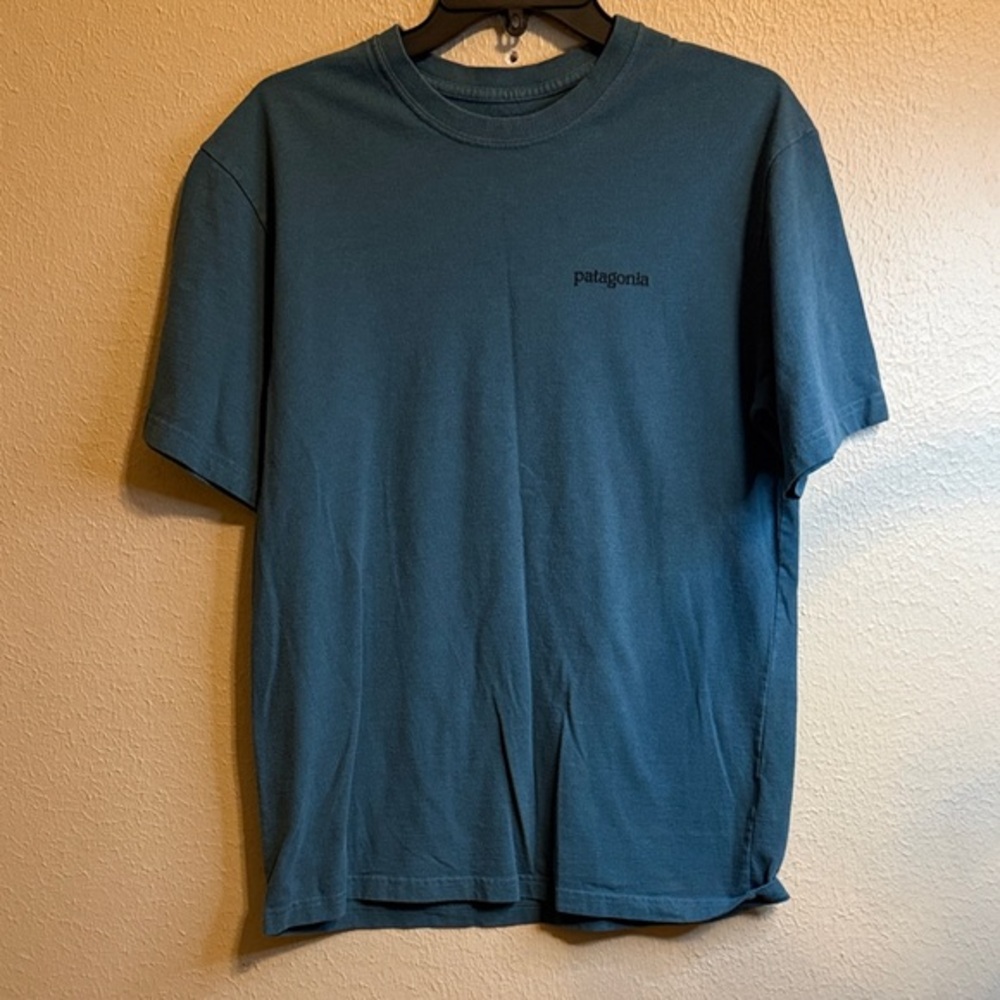 Patagonia Unisex Teal Short Sleeve Tee